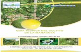 2011. CENTA. Guía Técnica del Cultivo de Maracuya