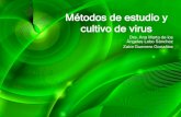 Métodos de estudio y cultivo de virus