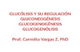Glucolisis Gluconeogenesis Glucogenogenesis Glucogenogenolisis Junio 2012