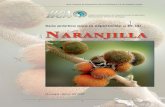 2007. Nicaragua. Guía Práctica para la Exportación de Naranjilla
