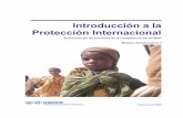 ACNUR, Introducción a la protección internacional, Módulo autoformativo 1