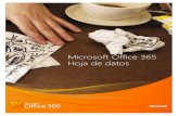 Hp Office 365