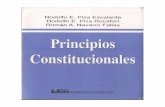 Principios Constitucionales - Rodolfo e. Piza Escalane