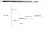 Diapositivas Del Proceso de Azucar