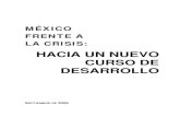 Mexico Frente a La Crisis