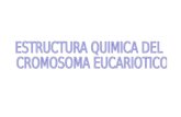 Estructura Quimica Del Cromosoma 2012-I