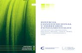 Justicia Constitucional y Derechos Fundamentales - 2009