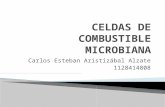 Celdas de Combustible Microbiana