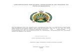 DETERMINACIÓN DE ÁRBOLES CANDIDATOS DE LA ESPECIE CASTAÑA (Bertholletia excelsa HBK)