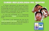 Curso Profesional Reflexologia del Rostro (Facioterapia)