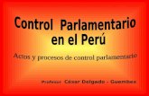 CDG - Control Parlamentario en el Perú. Teoría del proceso y del acto de control parlamentario