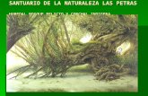 Descripcion Ecologica Santuario de La Naturaleza Las Petras. Autor Guillermo Heredia Brito