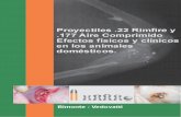 Proyectiles .22 Rimfire y .177 Aire Comprimido. Efectos físicos y clínicos en los animales domésticos - Bimonte & Vedovatti