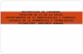 2.) Generalidades de Artrología, Generalidades de Miología, Angiología y Esplacnología - Prof. Pedro Bolívar