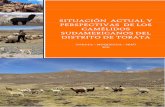 Situación Actual y Perspectivas de los Camélidos Sudamericanos del Distrito de Torata - Moquegua - Perú