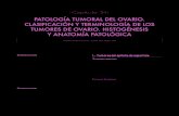 34-Patologia Tumoral Del Ovario Clasificacion y Terminologia de Los Tumores Del Ovario His to Genesis y Anatomia a