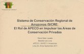 Sistema de Conservación Regional de Amazonas: El Rol de APECO en Impulsar las Áreas de Conservación Privadas