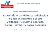 2. Anatomía y semiología radiológica de los segmentos del eje vertebral. Columna cervical, dorsal, lumbar y sacro coccígea