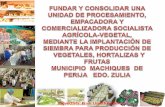 Presentacion PROYECTO Product or A, Clasificadora Procesadora y Comercializadora Agricola