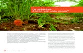 Revista AgroQuimica-La escasez de fitosanitarios en los cultivos menores La solución, ¿cada vez más cerca?