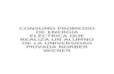 INVESTIGACION CONSUMO PROMEDIO DE ENERGIA ELÉCTRICA DE UNA CASA DE UN ALUMNO DE LA UNVIERSIDAD PRIVADA NORBET WIENER