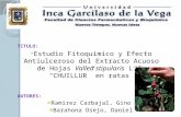 Estudio Fitoquimico y Efecto Antiulceroso del Extracto Acuoso de Hojas Vallea stipularis L.f. “CHUILLUR” en ratas