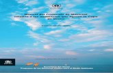 Manual del Protocolo de Montreal relativo a las sustancias que agotan la capa de ozono