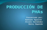 PRODUCCIÓN DE PHAs