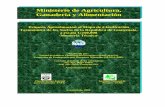 Memoria técnica_clasificación de suelos guatemala