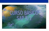 Curso navegación básica en SAP R/3