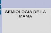 Semiologia de La Mama