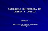 Patologia Quirurgica de Cabeza y Cuello