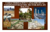 Analisis Del Sector SoYa en Bolivia