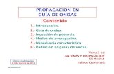 4.3 Propagacion Guia