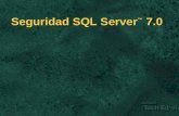 Seguridad en SQL