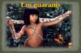 Cultura guaraní
