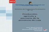 Informe de coyuntura económica N 12 - año 2012