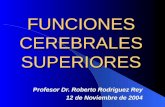 FUNCIONES CEREBRALES SUPERIORES 1 (1)