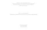 Conceptos y Criterios fundamentales en el estudio de Tránsito - Vías de Comunicación I