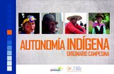 Cartilla Autonomía Indígena Originario Campesina - 2da edición