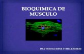 Bioquimica de Musculo 1