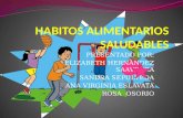 HABITOS ALIMENTARIOS SALUDABLES
