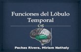 Funciones y Patología del Lóbulo Temporal (Expo con el Dr. Polar)