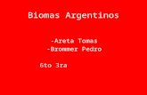 Biomas Argentinos