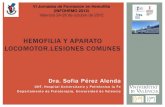 HEMOFILIA Y APARATO LOCOMOTOR LESIONES COMUNES. Dra. Sofia Pérez ( INFOHEMO 2012). 24.10.12
