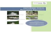 Caudal Ecologico Informe Final Resumen
