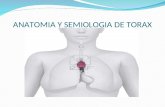 Anatomia y Semiologia de Torax