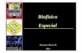biofisica 1º semana 1 clase