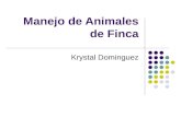 Profa. k. Dominguez Avet 110 13. Manejo de Animales de Finca