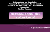 Metabolismo Del Colesterol